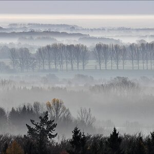 Top 5 2010 4