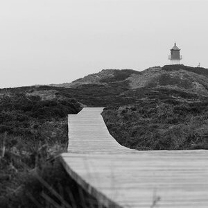DSC 9718bw