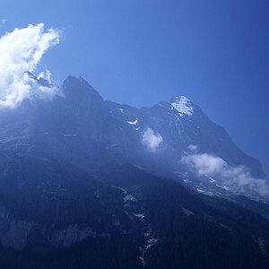 Image1