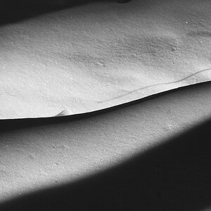 Schatten im Schnee II