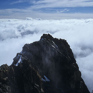 Image21