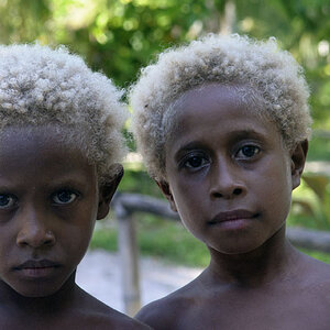 New Ireland Blondies