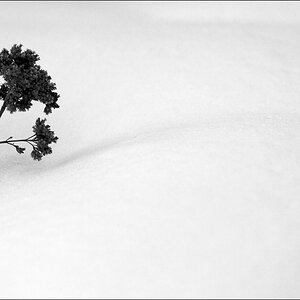 WinterDSC 0074
