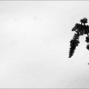 WinterDSC 0069