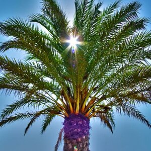 Let the Sunshine