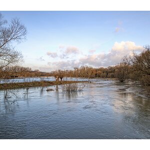 Hochwasser bei Schwülper