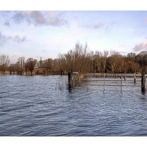 Hochwasser bei Schwülper