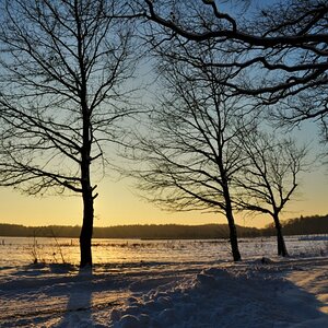 Winterlicher Feldweg bei Hohenbocka/Niedrlausitz