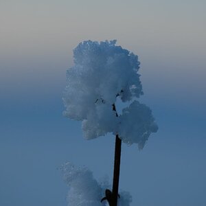 Uetliberg früh am Morgen.. eisig kalt.
