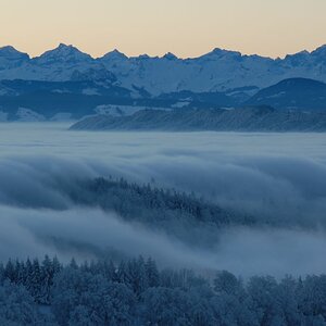 Uetliberg früh am Morgen.. eisig kalt.