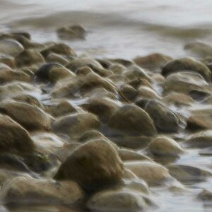 Ammersee 8