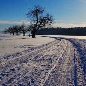 Winterzauber