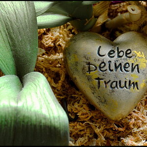 Lebe deinen Traum