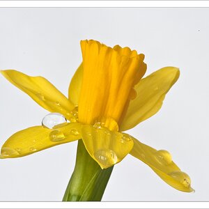 2011 01 24 13 20 33