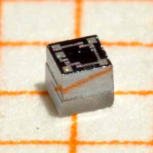 Sigma Makro 105mm mit Zwischenringen 64mm