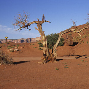 NFF 002 MONUMENT VALLEY