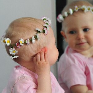 LM Spiegelbild