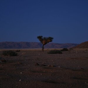 DSC 2783