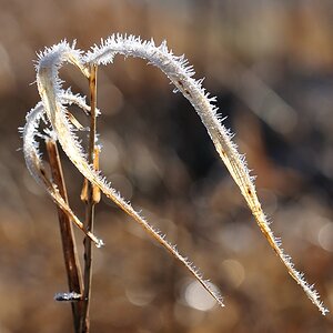 winter19