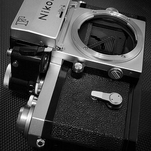 P1230688 800