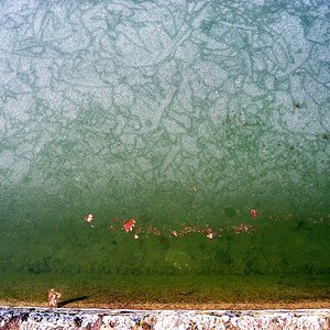 Draufsicht auf aufgetauter See mit Herbstblättern am Ufer 
Kamerainformationen
Gerät:	        Nikon COOLPIX P7000
Brennweite:	        6mm
Digitalzoom: