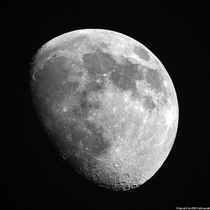 Mond