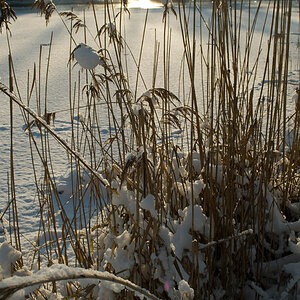 Kanal winter