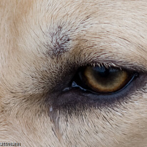 20081130 5336 [D700]   F2,8 180,00mm 2