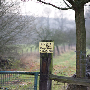 20081130 5367 [D700]   F3,5 135,00mm