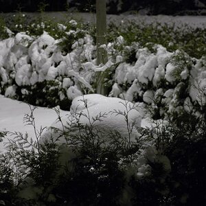nächtliches Winterbild unter Laternenpfahl mit Weißabgleich auf Schnee