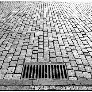 Tübingen 29.11.2008