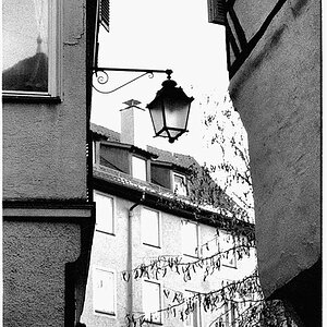 Tübingen 29.11.2008