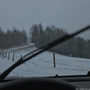 s DSC 0559