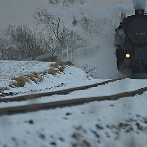s DSC 0646