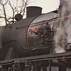 s DSC 0761