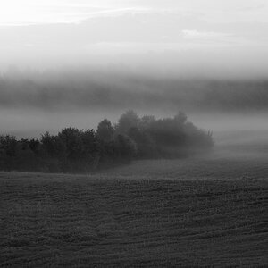 Herbstnebel