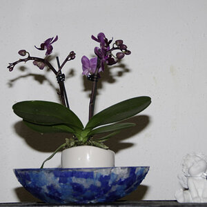 testbild1