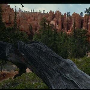 Der Bryce Canyon ist fast unberührt