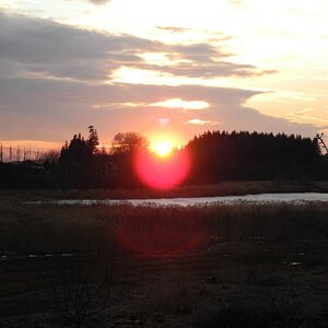 DSCN0871