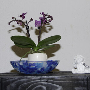 testbild2