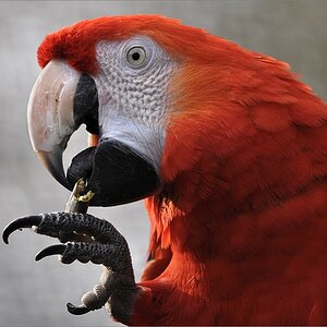 Bild1 1