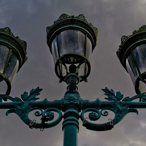 DSC2461