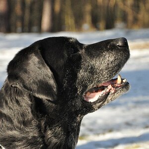 Cooper, 12 Jahre