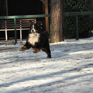 The Flying Sam
