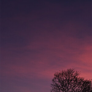 Abendmond