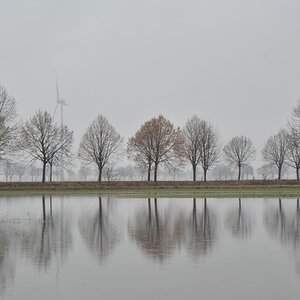 NF B 2011 02 06 14 31 42