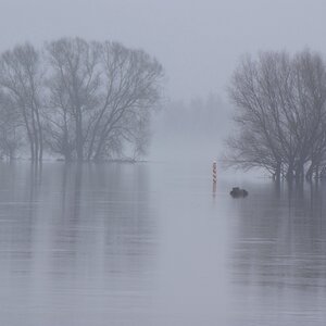 NF B 2011 02 06 12 33 01