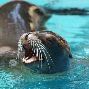 Zoo Duisburg
