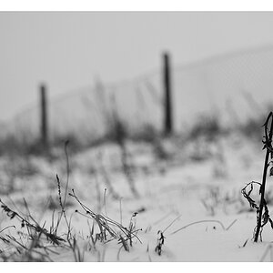 Schnee