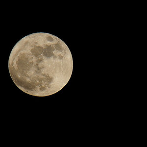 hellster Mond